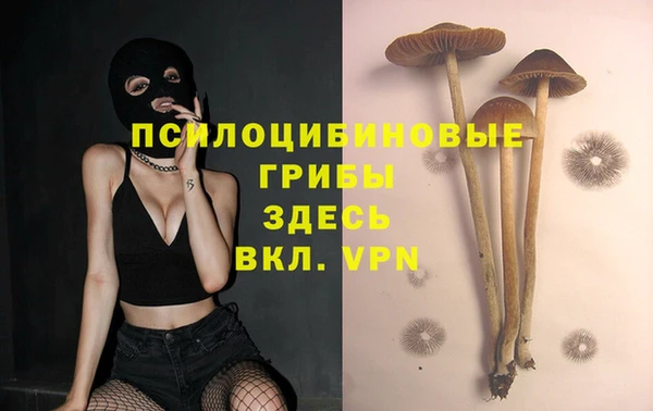 круглые Абаза