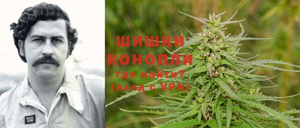 PSILOCYBIN Абдулино