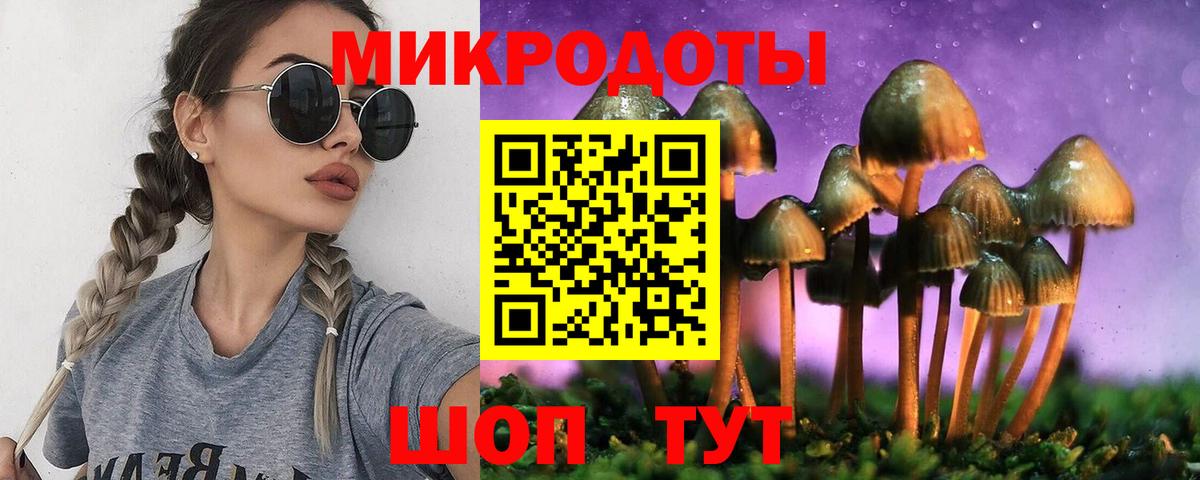 Псилоцибиновые грибы Psilocybine cubensis Нижнекамск